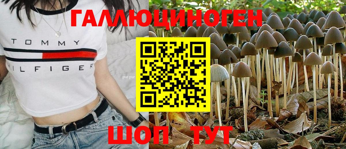 Галлюциногенные грибы прущие грибы  Псилоцибиновые грибы Psilocybe  Кашира  Вход с VPN 