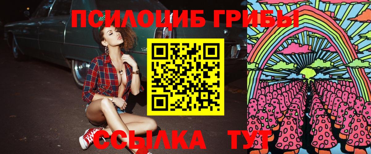 Псилоцибиновые грибы ЛСД Кашира
