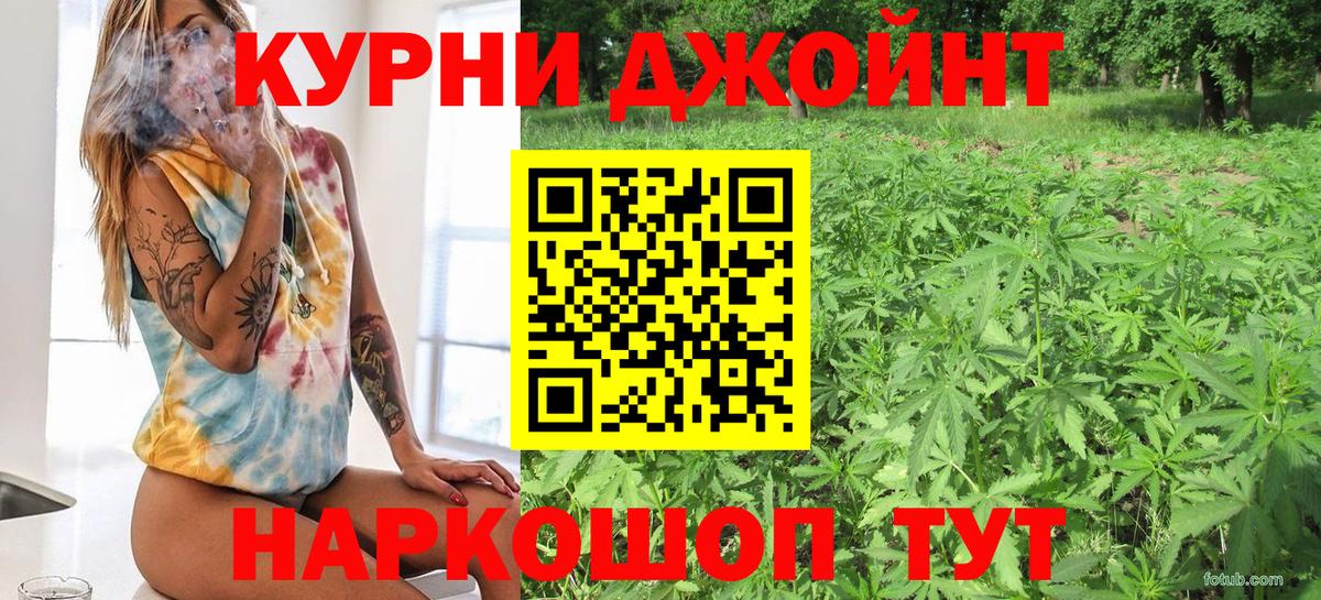 Кашира  Бошки Шишки семена  Вход с VPN  Конопля семена  Шишки марихуана план 